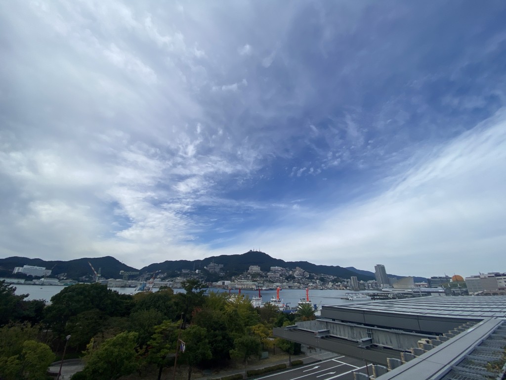 S__8781832