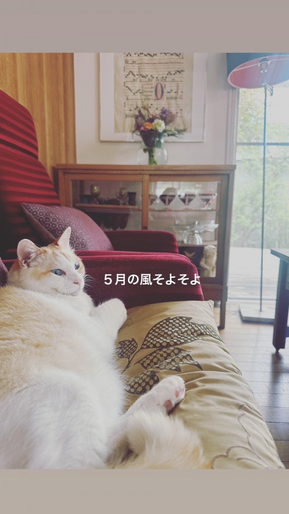 S__19456039